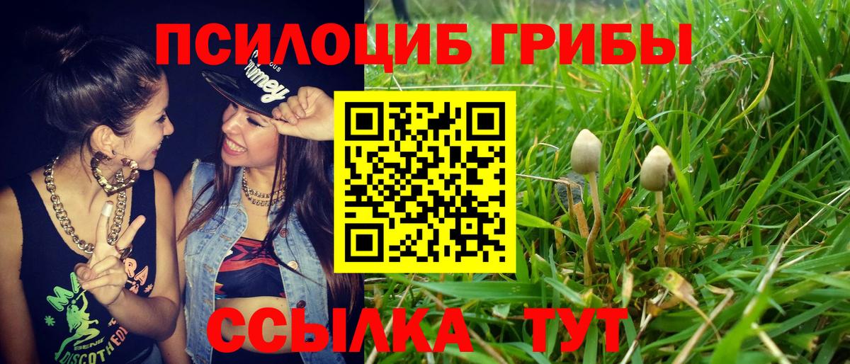 Галлюциногенные грибы Psilocybine cubensis  Вход с VPN  Рассказово 