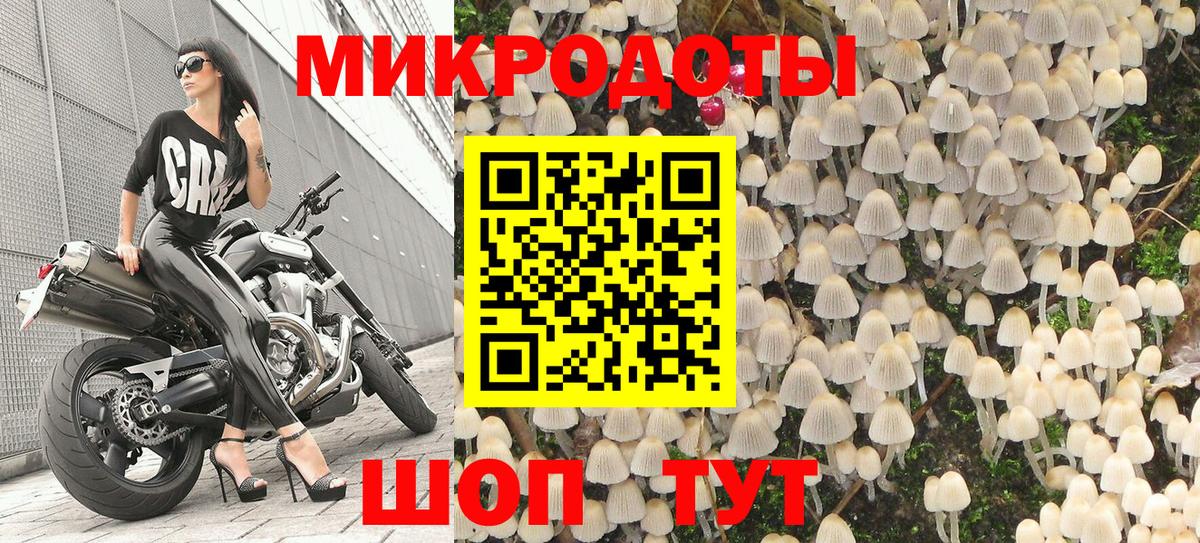 Псилоцибиновые грибы Cubensis Рассказово